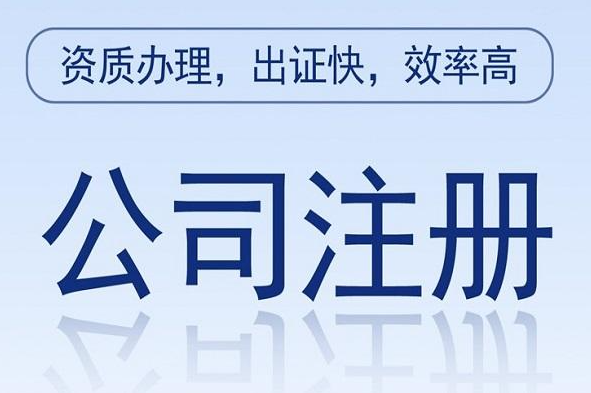 在頂呱呱新公司注冊(cè)，選一般納稅人好還是小規(guī)模納稅人好？
